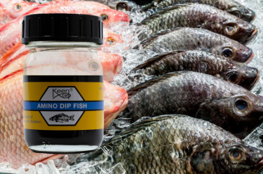 Geen afbeelding ingesteld 